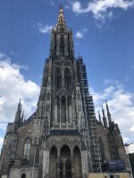 IMG_0359