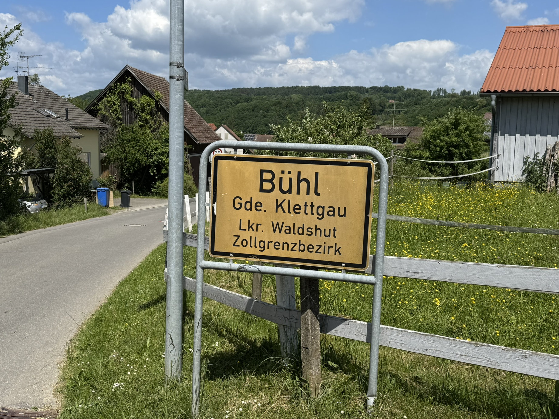 IMG 7541