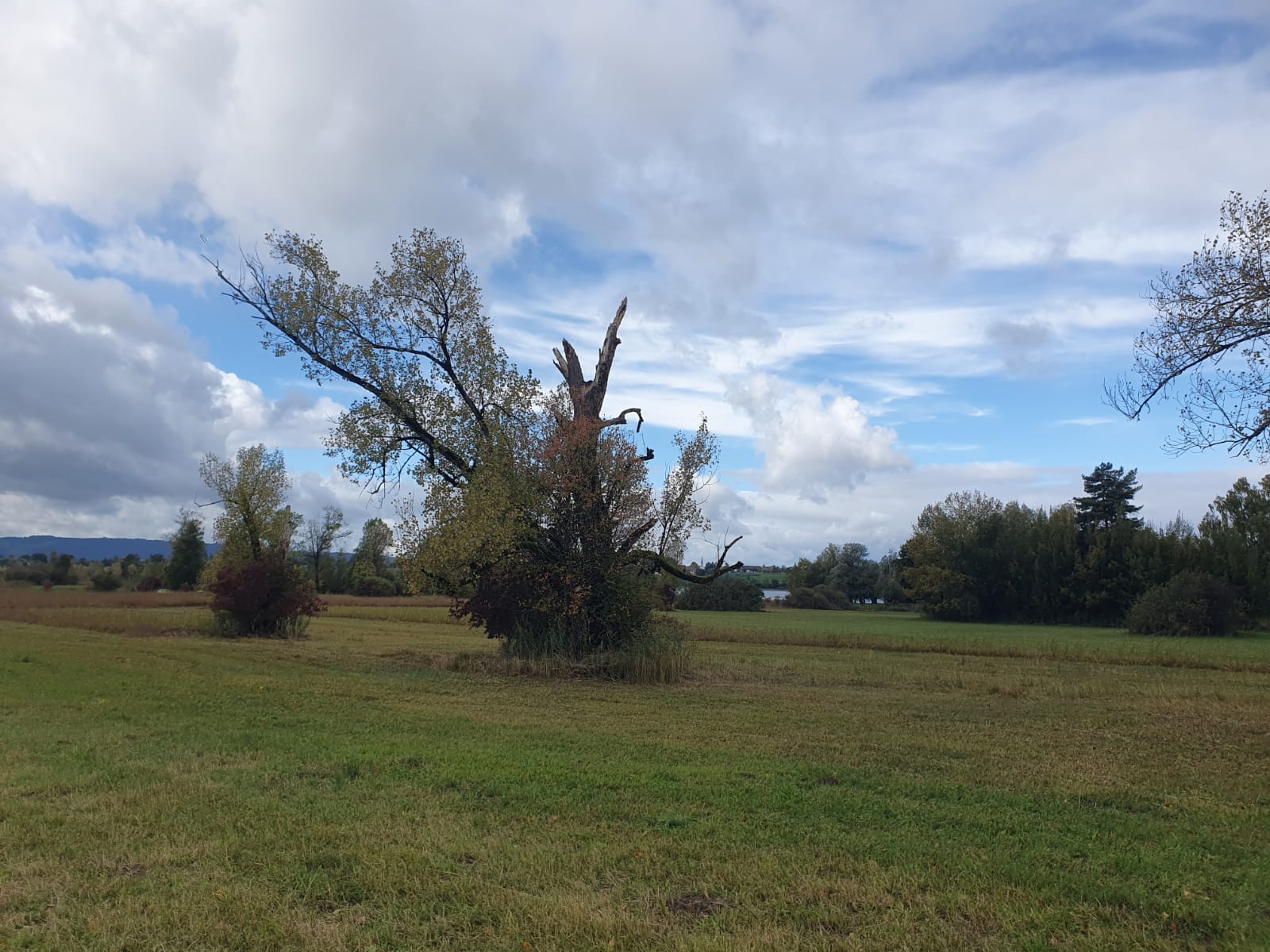 WhatsApp Bild 2025 10 05 um 18.17.18 739ff70c