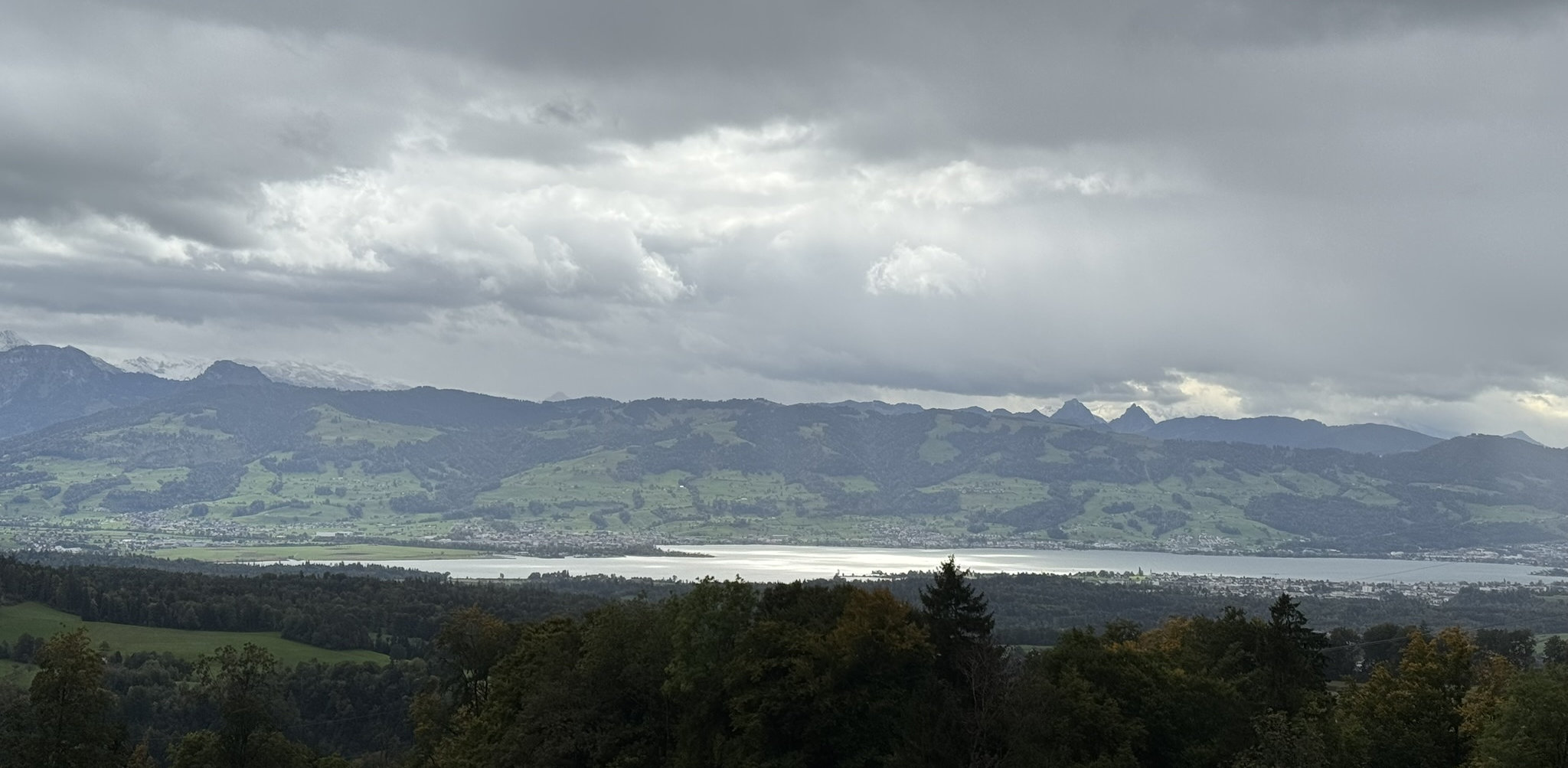 zuerichsee letzter