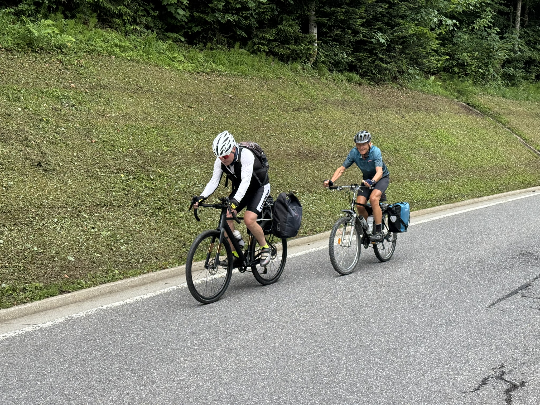 IMG 8993